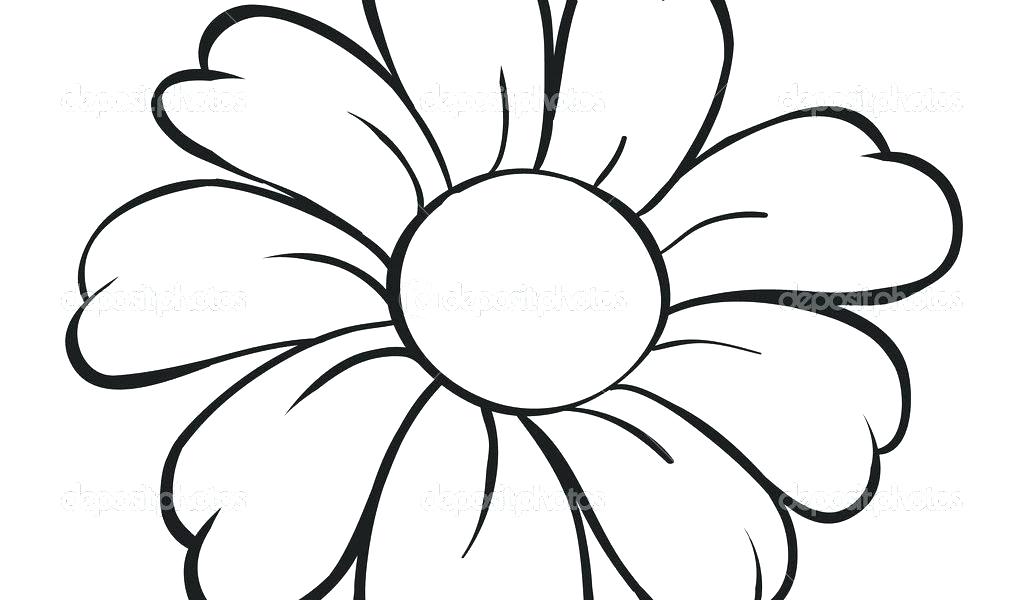 1024x600 Easy Pencil Drawings Of Flowers Stylized Acanthus Flower How