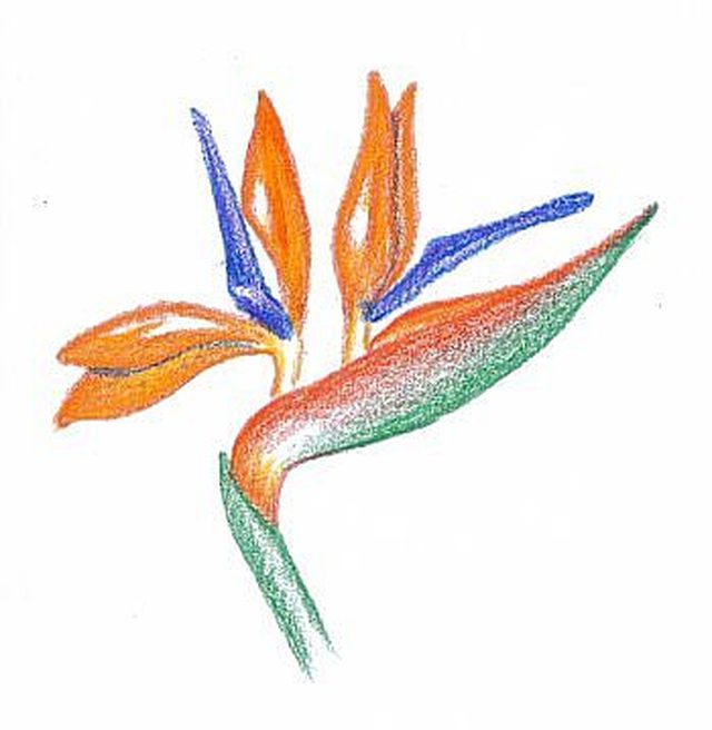 640x656 How To Shade With Colored Pencils Ehow