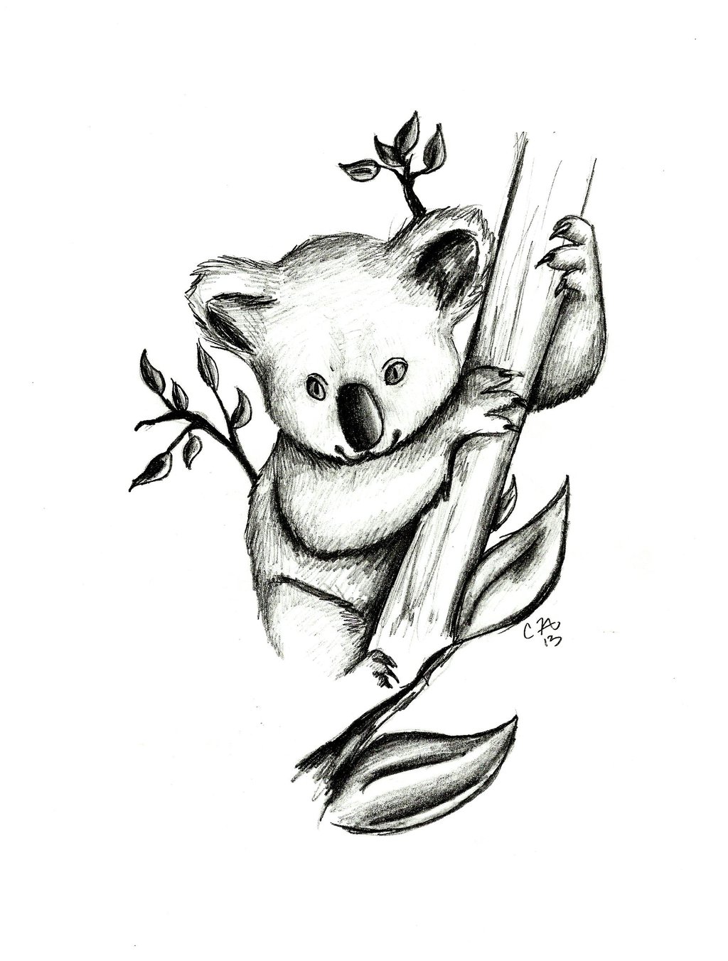 1024x1352 Koala Drawing Shading For Free Download
