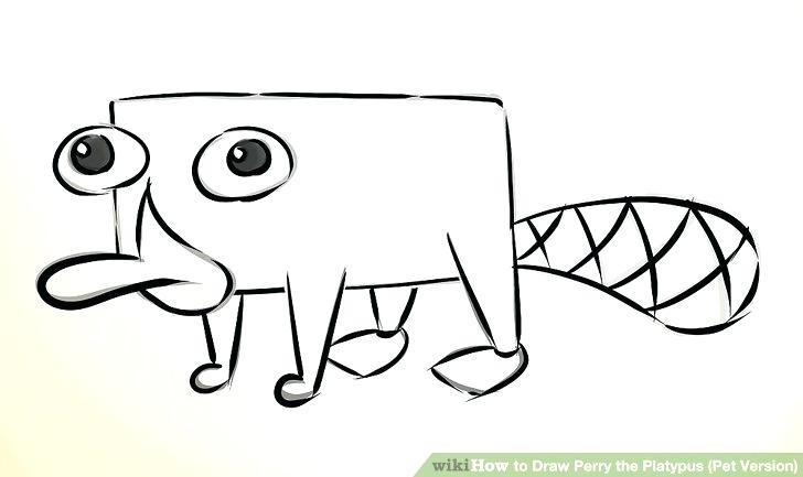 728x433 perry the platypus drawing platypus drawing the platypus clip art