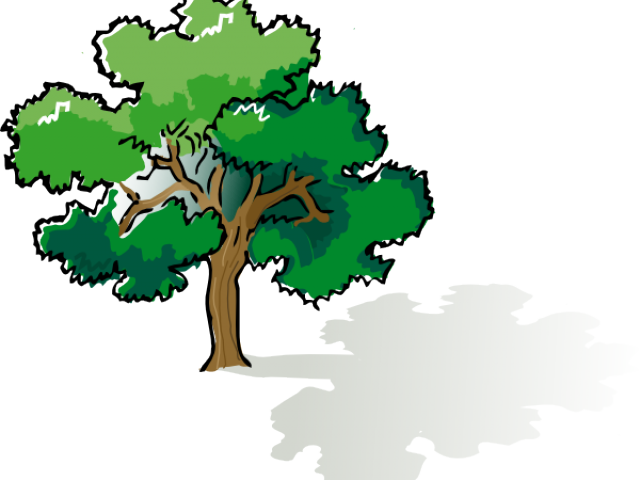 640x480 Collection Of Free Shading Drawing Tree Download On Ui Ex