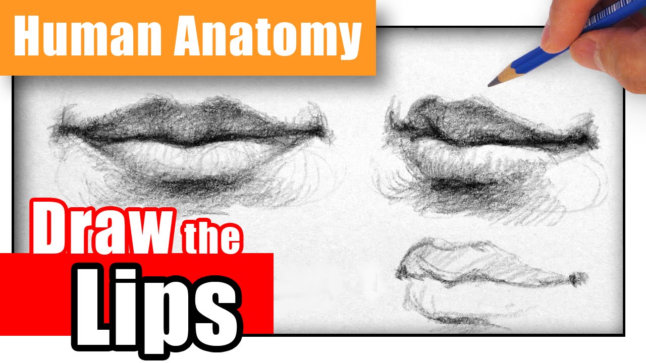 1280x720 How To Draw The Lips The Easy Way