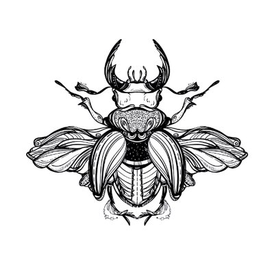 400x400 Furless Cosmetics On Twitter How Succulent Does Our Convertible