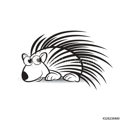500x500 Black And White Porcupine On Smooth Shadow Vector Drawing