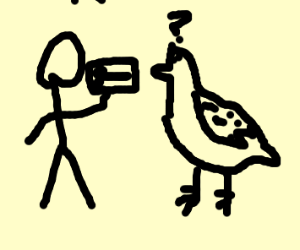 300x250 Don't Let The Seagulls Eat Your Drawing