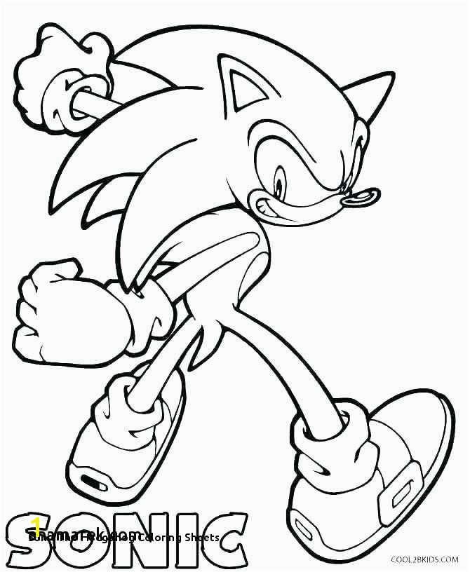 670x816 Shadow The Hedgehog Coloring