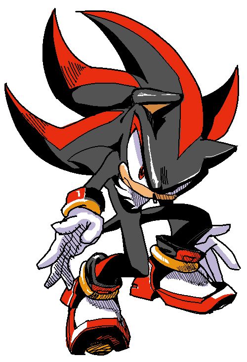 500x731 Shadow The Hedgehog Shadoodle
