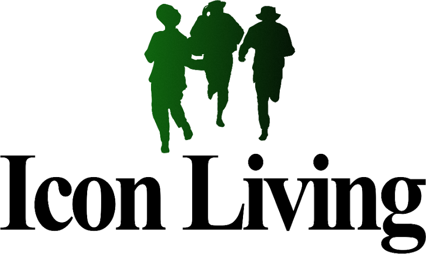 880x525 Immademe Shaka Zulu