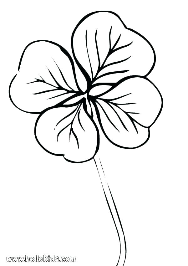 Shamrock Line Drawing | Free download on ClipArtMag