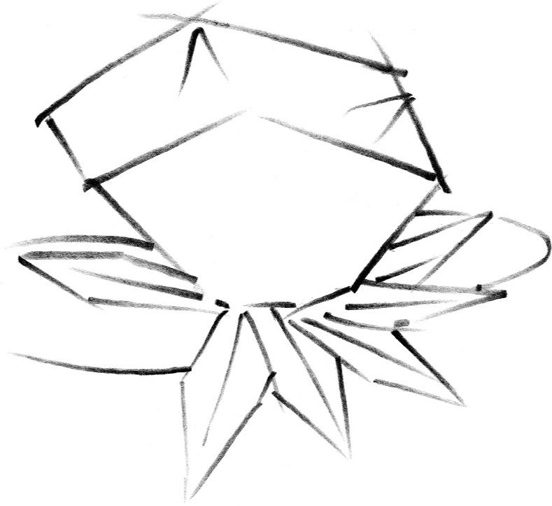 789x723 Basic Flower Shapes