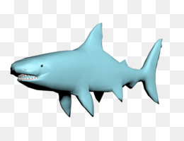 260x200 Shark Drawing Png Free Download