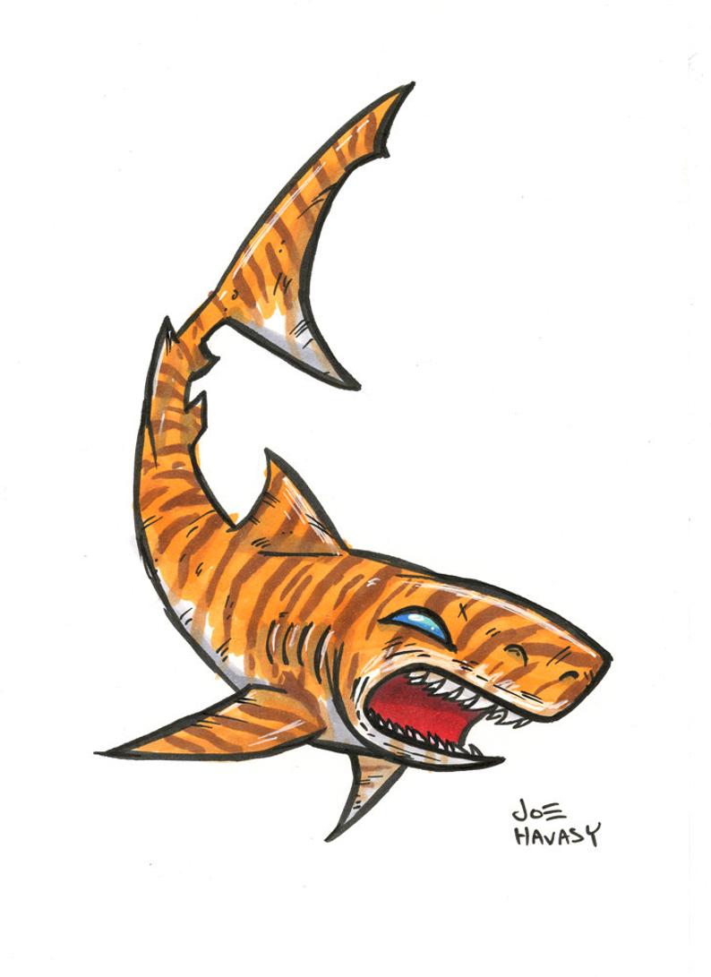 794x1091 Tiger Shark Original Drawing Etsy