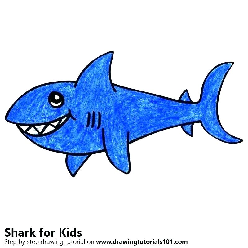 800x800 How Do I Draw A Shark Draw Great White Shark Steps To Draw Cartoon