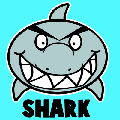 400x400 How To Draw A Cartoon Shark With Easy Step