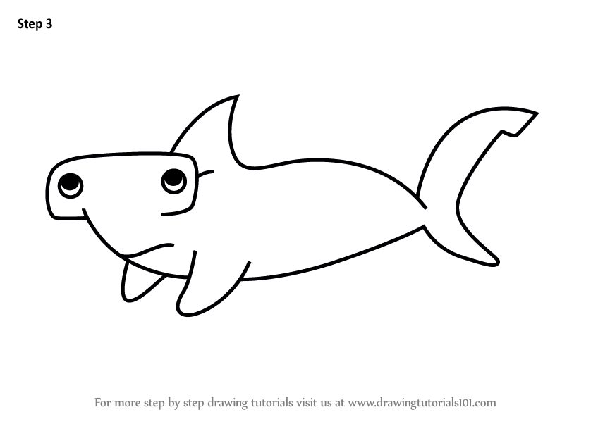 848x602 Learn How To Draw A Bonnethead Shark For Kids
