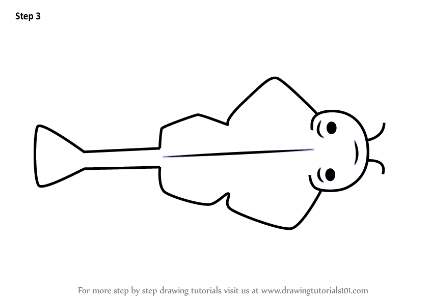 844x598 Learn How To Draw An Angel Shark For Kids