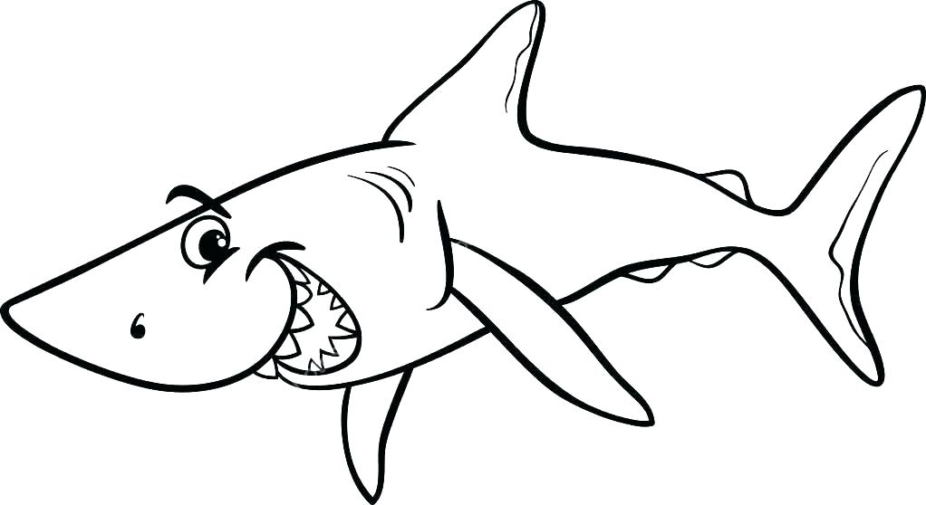 Shark Drawing For Kids | Free download on ClipArtMag