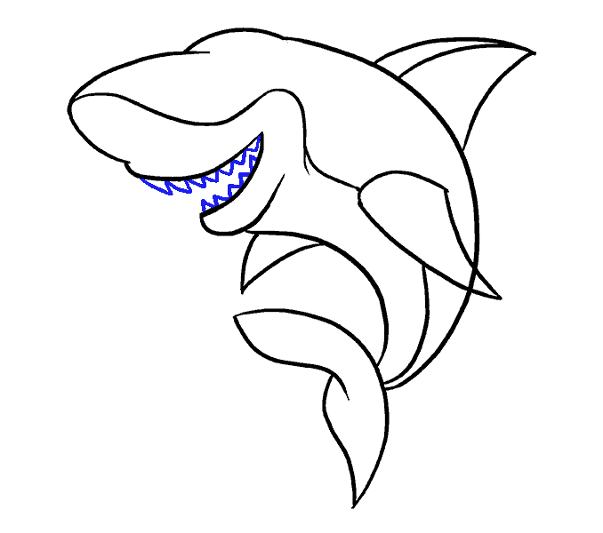 678x600 How To Draw A Cartoon Shark Easy Step