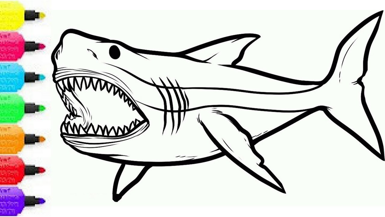 Shark Drawing Images | Free download on ClipArtMag