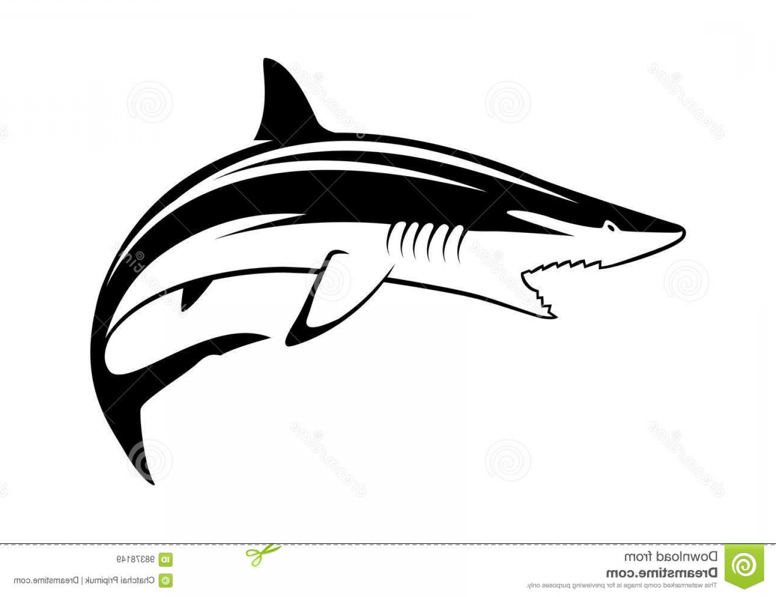 1560x1200 Shark Vector Drawing Hoodamathrun