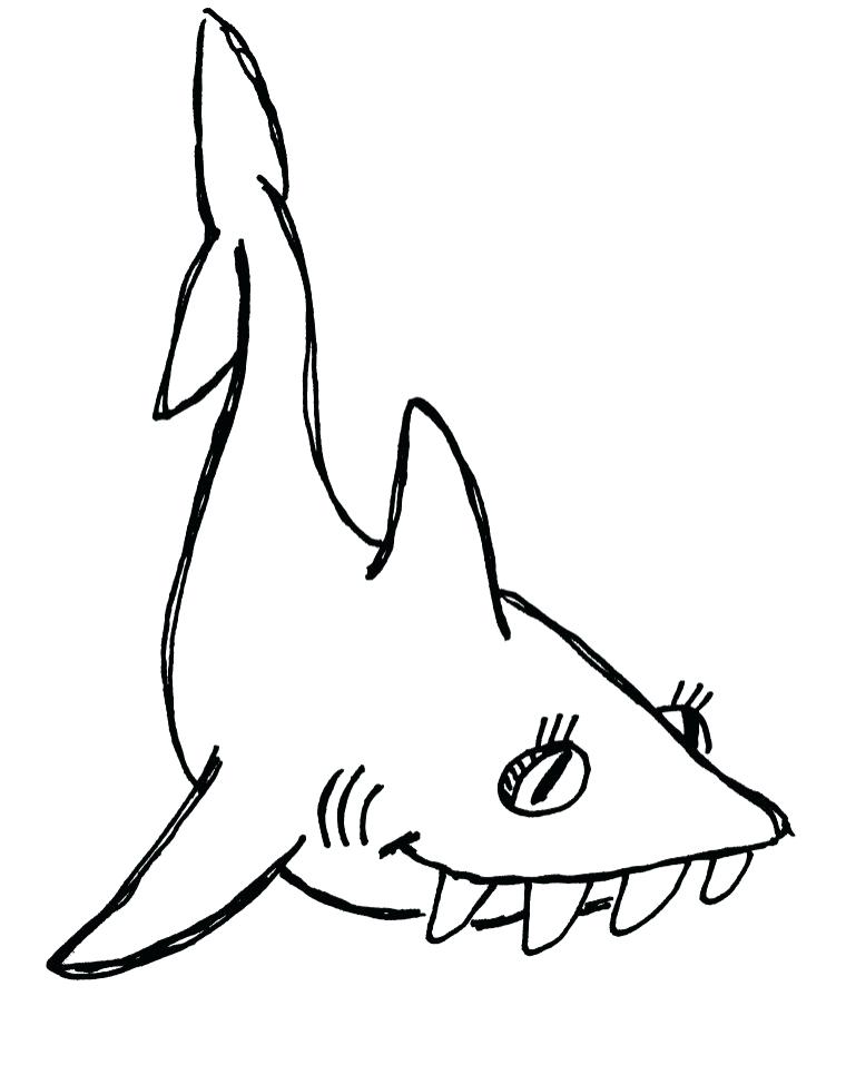760x975 How To Draw A Great White Shark For Kids How To Draw Sharks