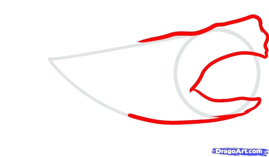 1112x652 How To Draw A Megalodon Great White Shark Coloring Pages On How