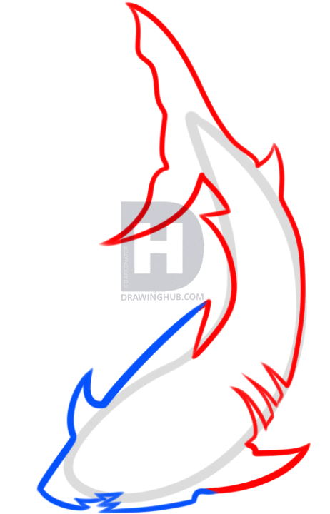 462x720 How To Draw A Tribal Shark, Step