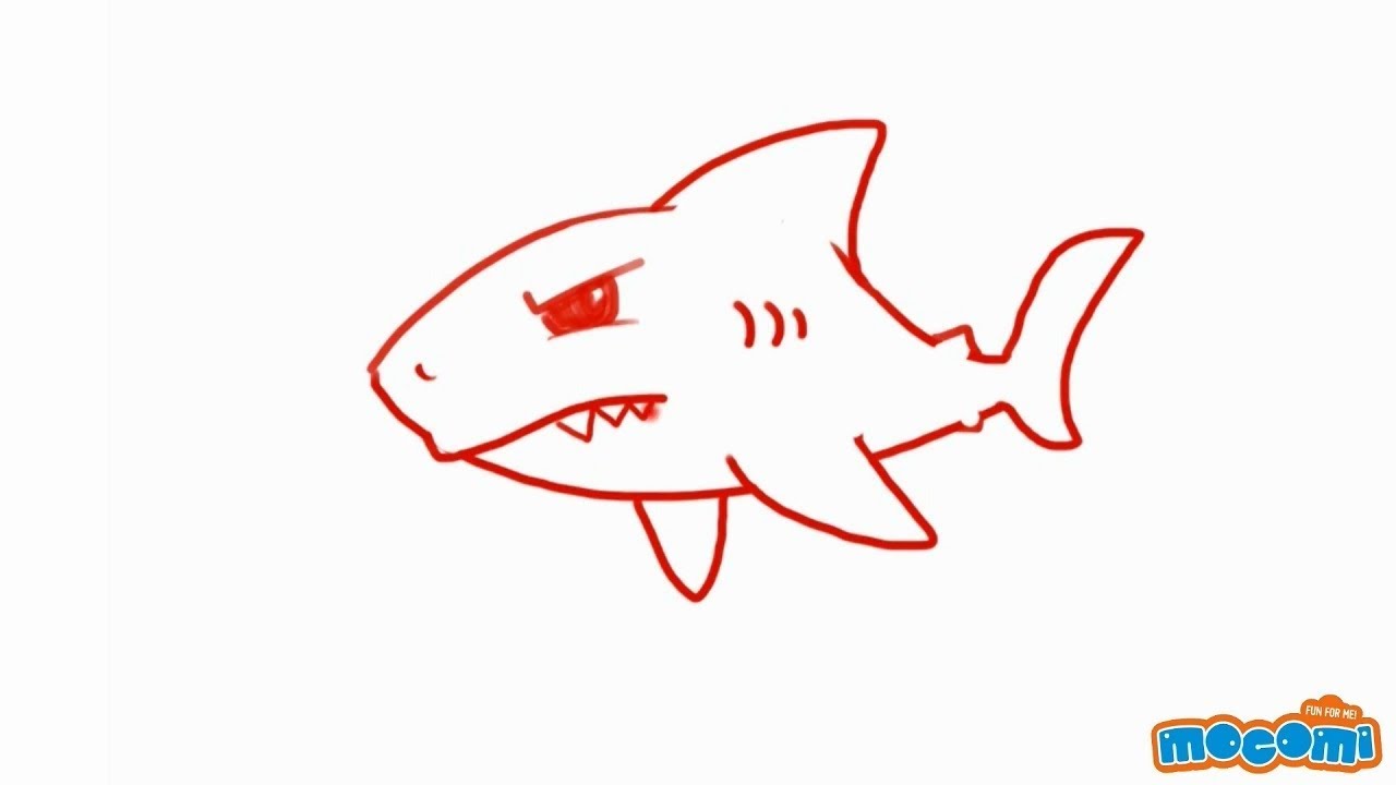 1280x720 How To Draw A Shark Step