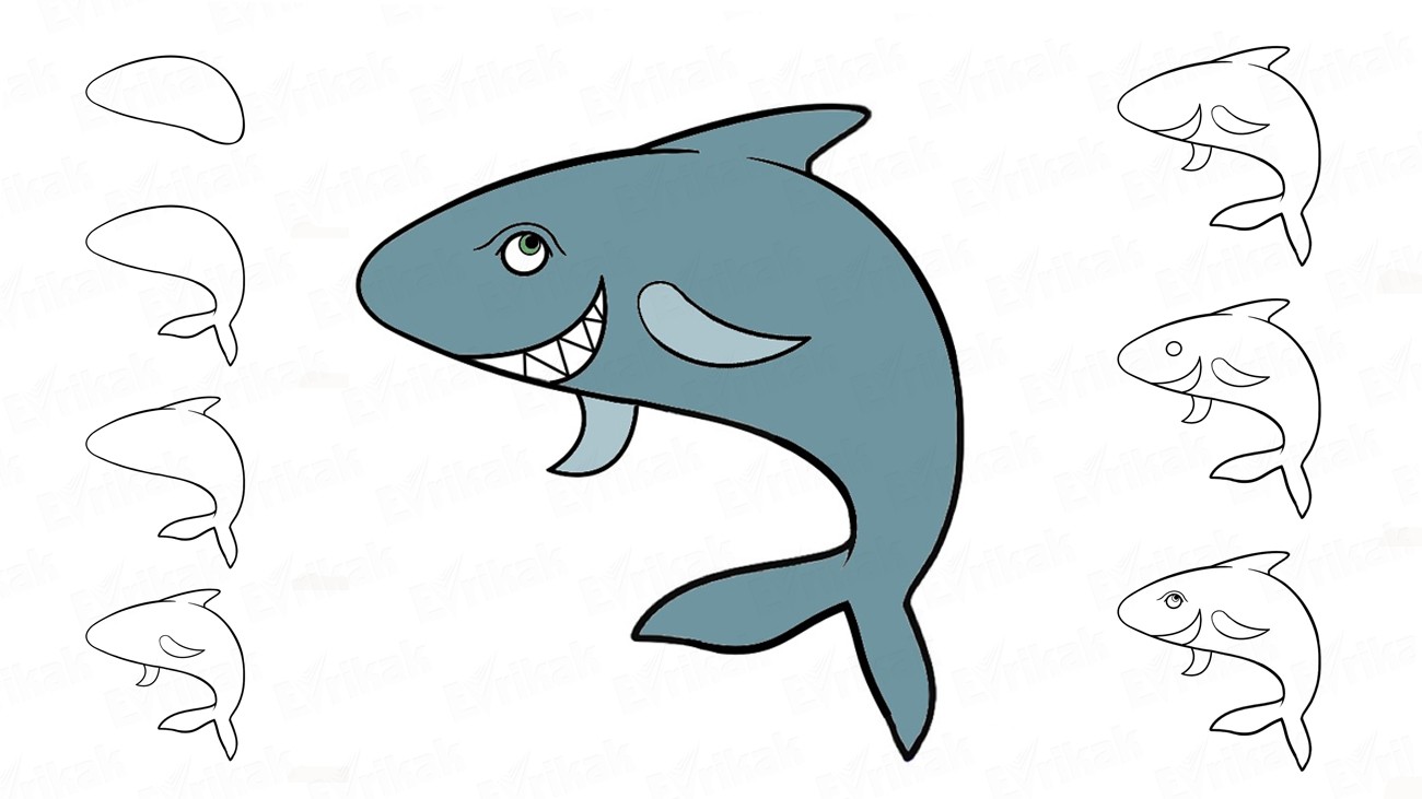1300x731 How To Draw A Shark Step