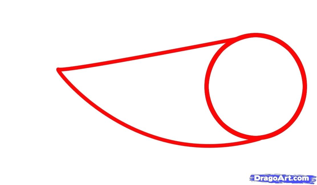 1112x652 Megalodon Drawings How To Draw Shark Step Megalodon Drawings