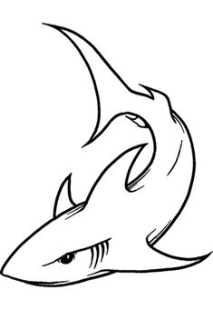 235x341 How To Draw A Cool Shark Step Room In Shark Drawing