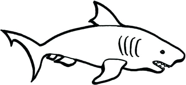600x275 Shark Drawing Easy How To Draw A Shark Step Hammerhead Shark