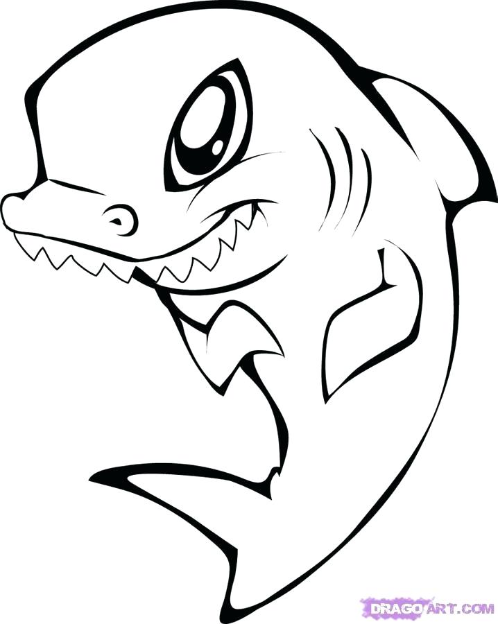 718x900 Shark Drawings Step