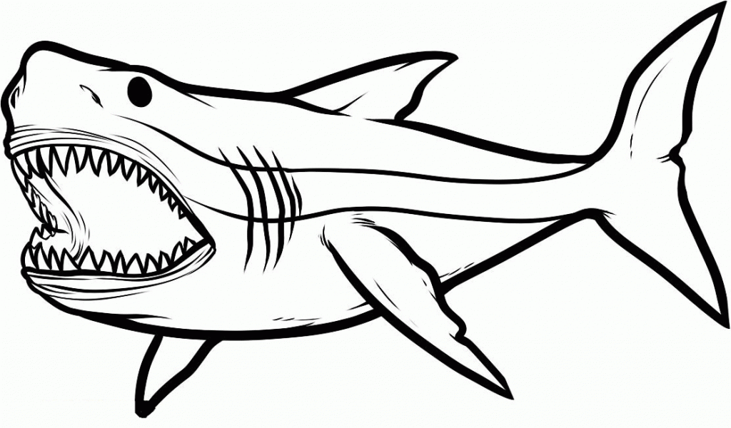 1024x600 Winsome Design Pictures Of Sharks To Colour Shark Coloring Pages