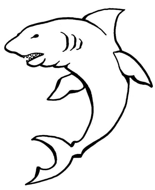 600x734 A Drawing Of Cookiecutter Shark Coloring