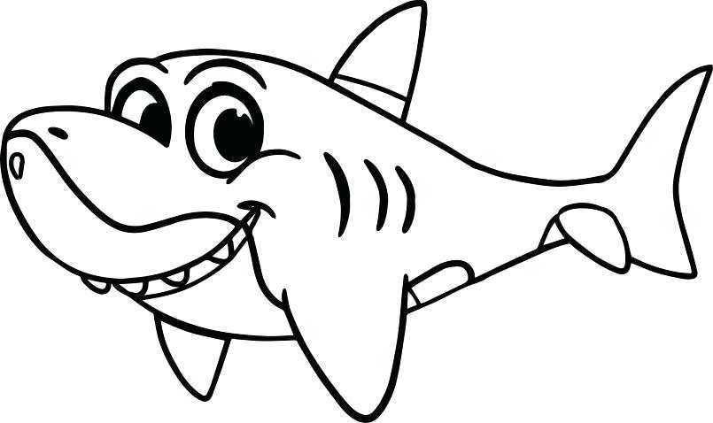 805x478 Shark Coloring Pictures Vector Illustration Of Cartoon Shark