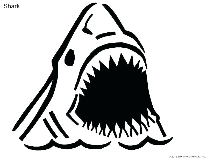 799x614 Shark Craft Template Felt Patterns Monkey And Preschool Letter M