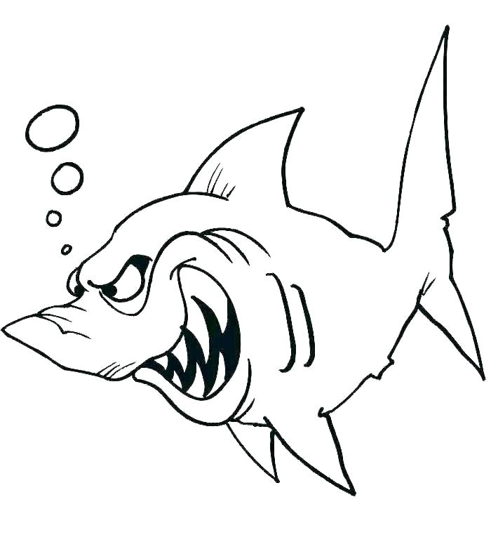 700x782 shark drawing template shark fish coloring pages shark fin drawing