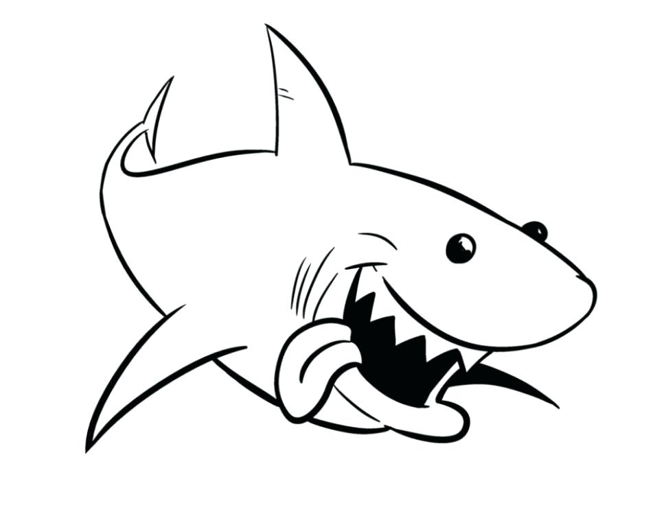 Shark Face Drawing | Free download on ClipArtMag