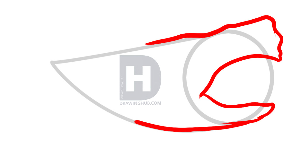 1080x633 How To Draw Megalodon, Megalodon Shark, Step