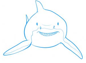 302x222 How To Draw A Shark, Step