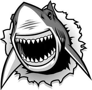 300x295 Angry Shark Head Mascot Car Bumper Sticker Decal X Ebay