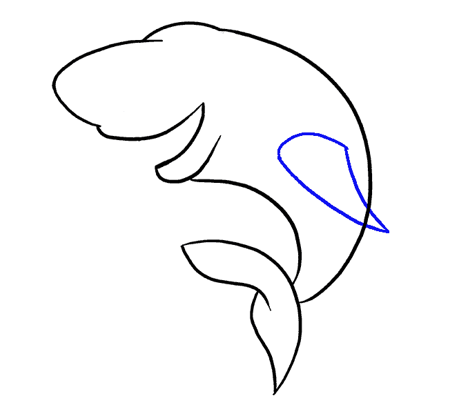 678x600 How To Draw A Cartoon Shark Easy Step