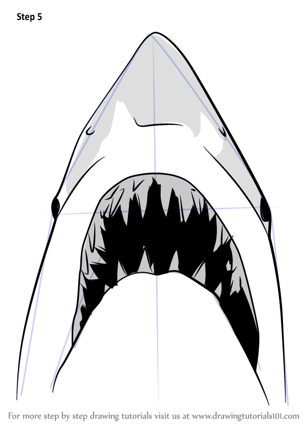 598x844 Learn How To Draw Jaws Shark