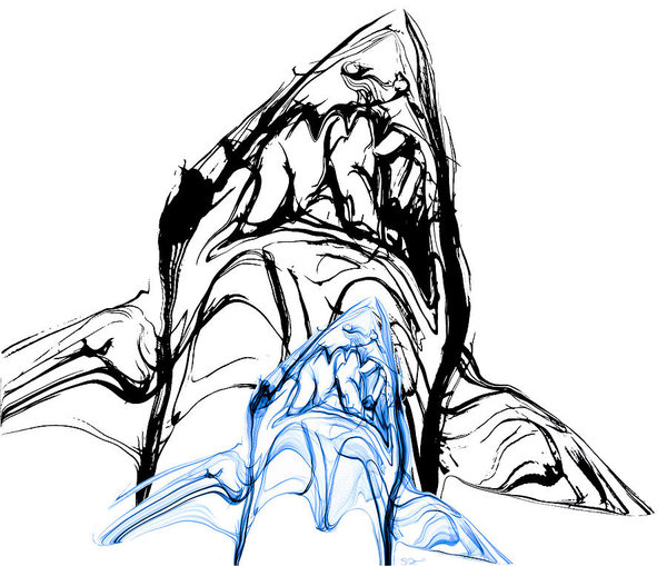 600x509 Shark Jaw Art