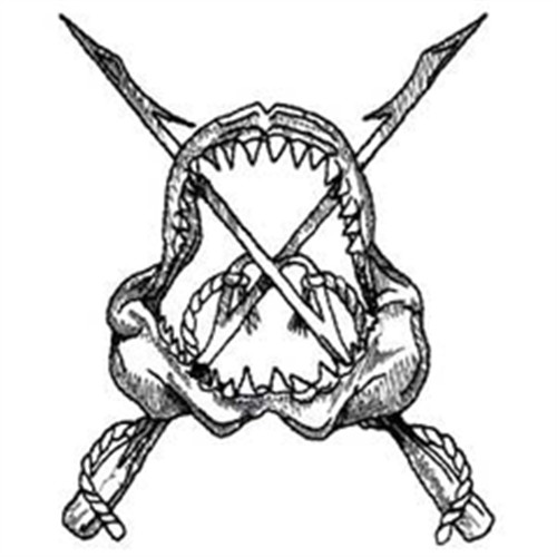 500x500 Shark Jaws Drawing