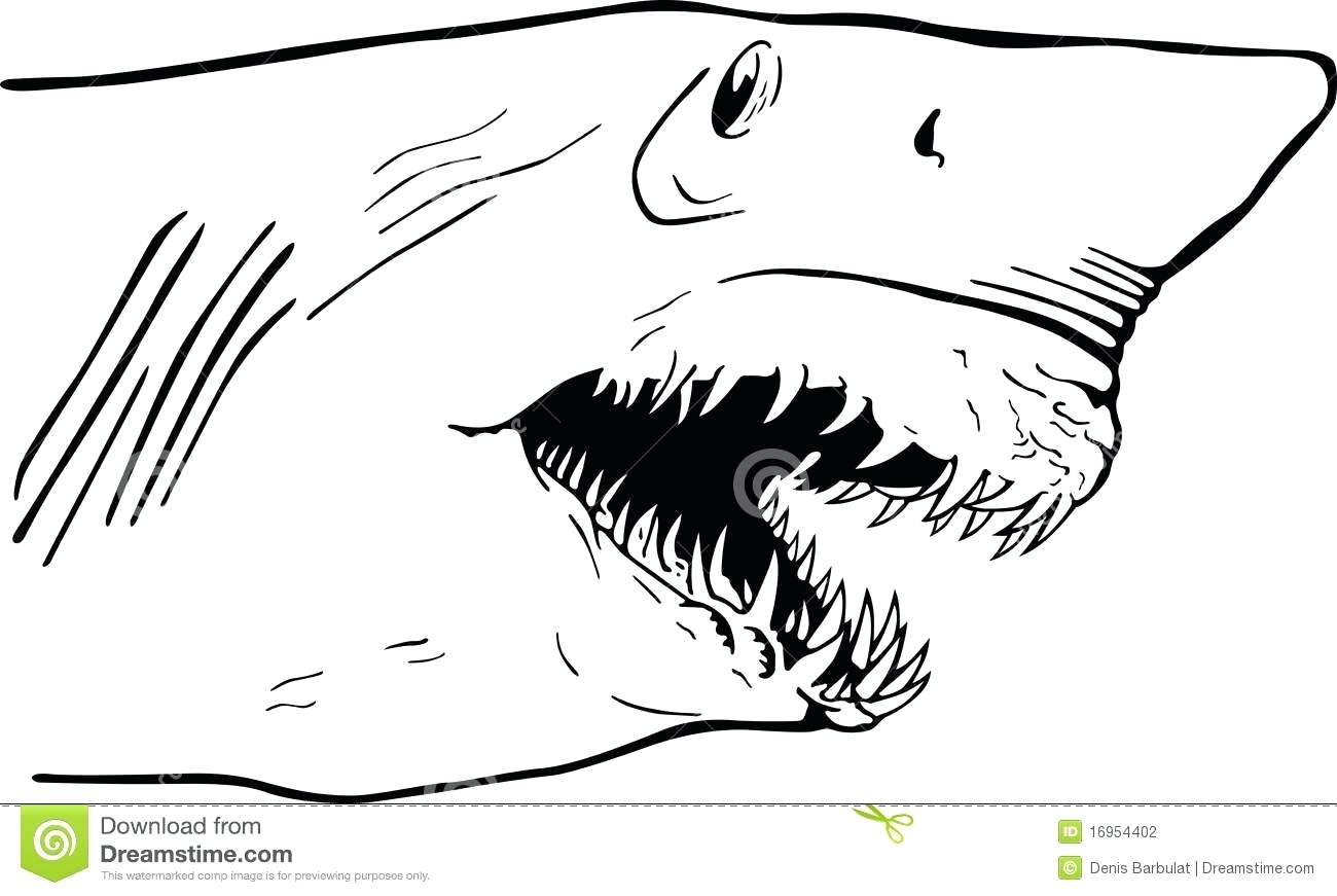 Челюсть акулы Графика