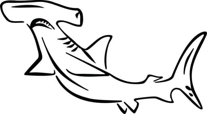 719x398 Hammerhead Shark Coloring Pages In Humorous Print Image Sharks