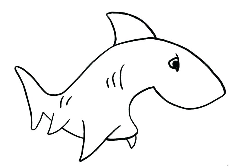 800x581 simple drawing fish draw shark simple fishbone drawing