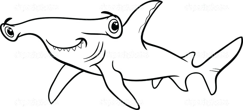 1023x463 How To Draw A Hammer Head Shark